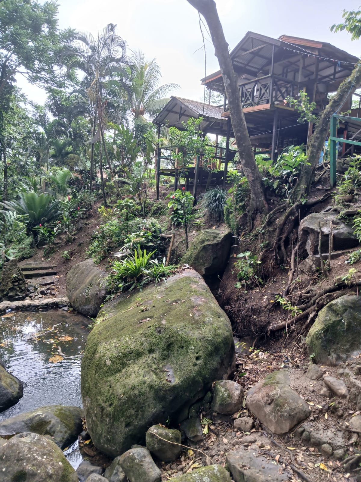 Natural rock and forest setting