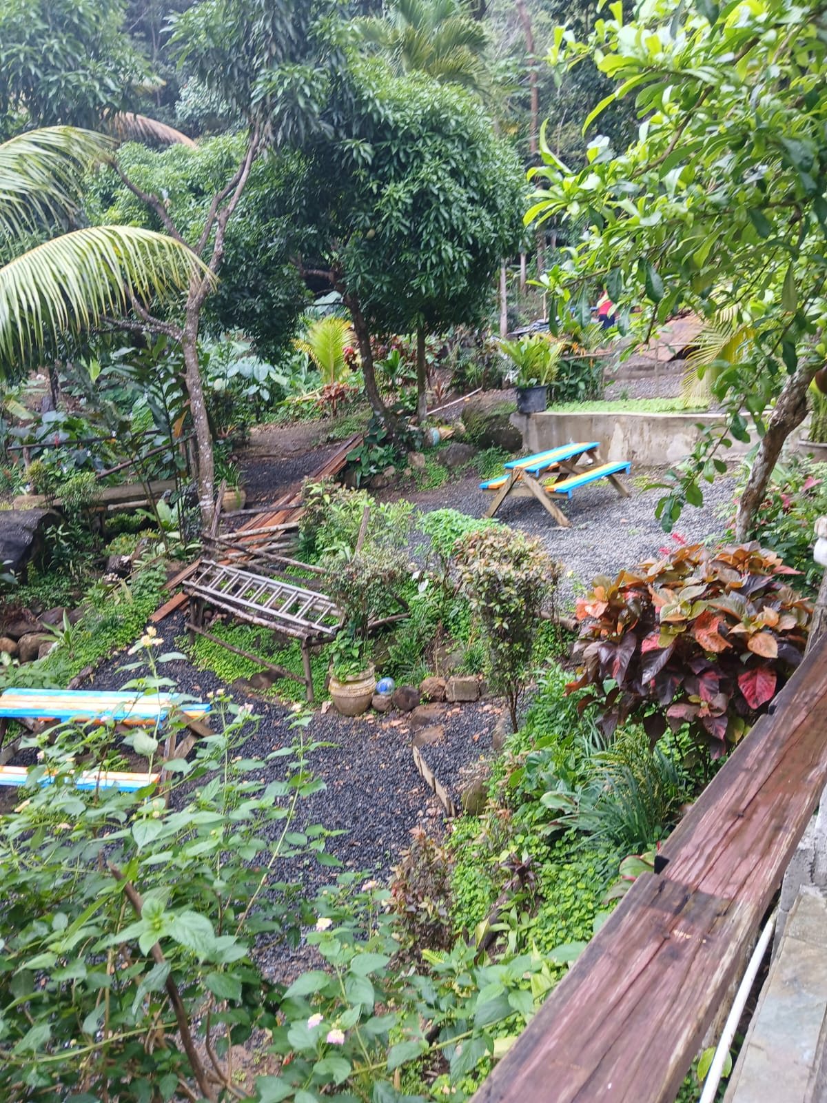 Lush tropical landscaping at Rainforest Creole Park in Saint Lucia