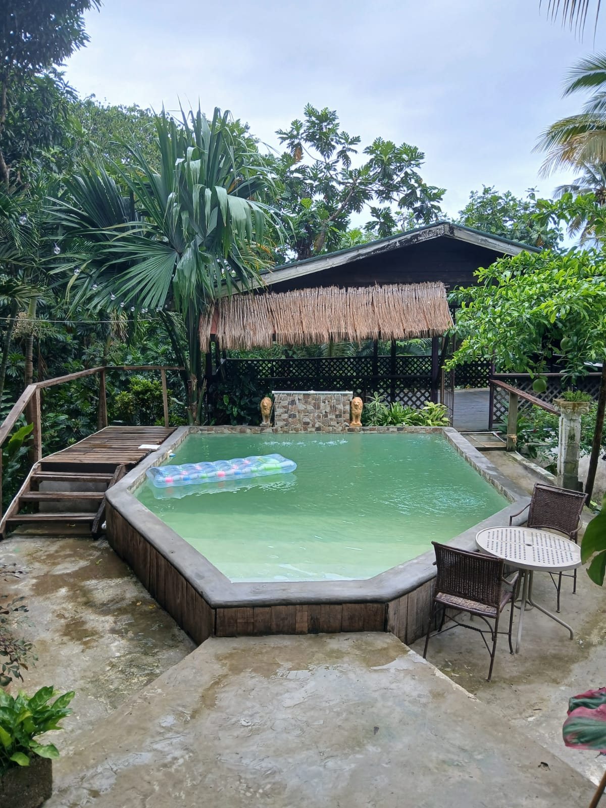 Pool area surrounded by tropical greenery