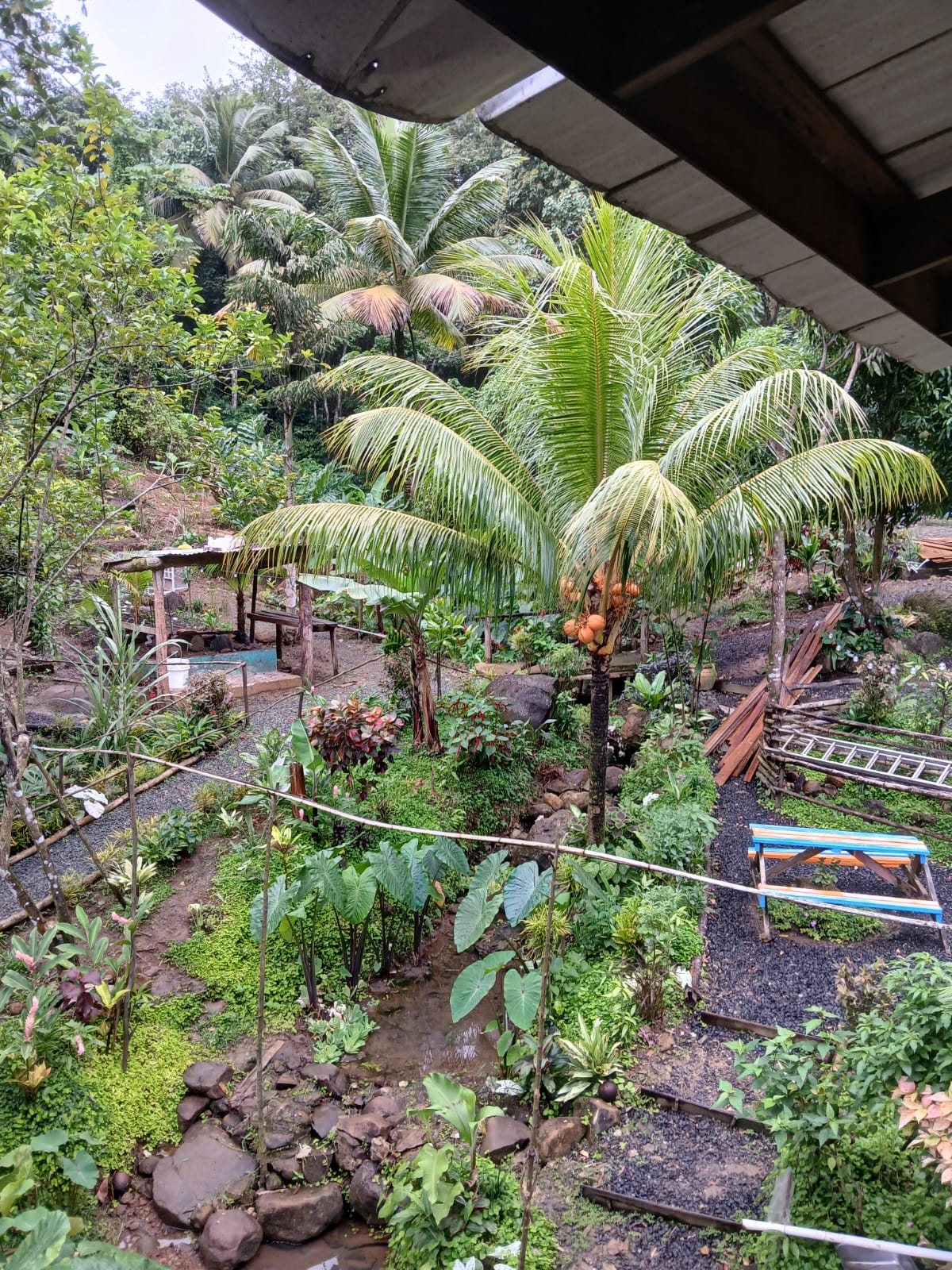 Lush botanical garden landscaping